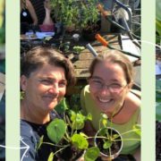 Zaadjes planten stekjes ruilen