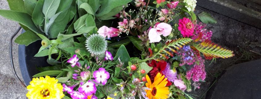 duurzame bloemen pluktuin