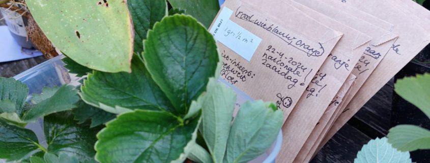 Zaadjes Planten Bomen en Struiken