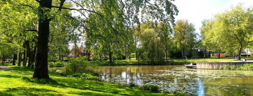 Mheenpark Bomen wandeling IVN