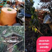 Blog Jouw tuin als winterparadijs