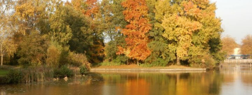 Herfstwandeling Mheenpark IVN