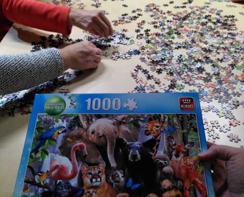 Puzzelavond Dierendag (15)