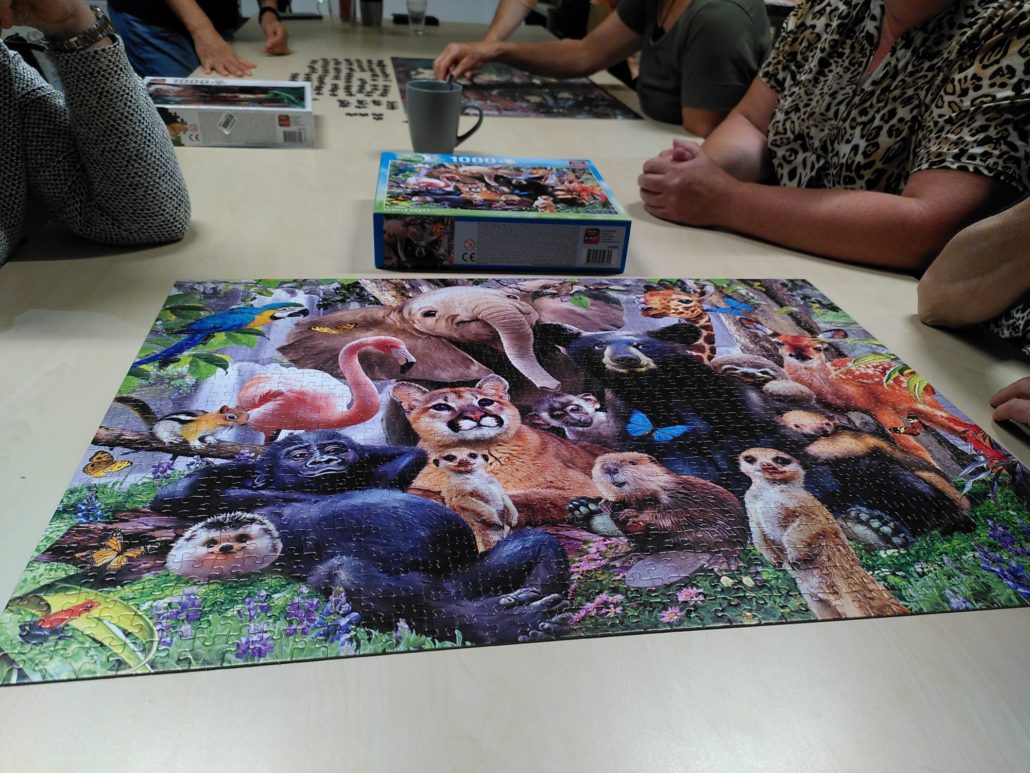 Puzzelavond Dierendag (4)