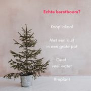 kerstboom