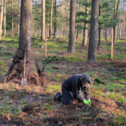 Nieuwjaar traditie Plant a tree banner