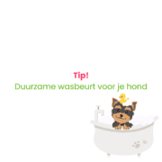 Tip Duurzame wasbeurt voor je hond