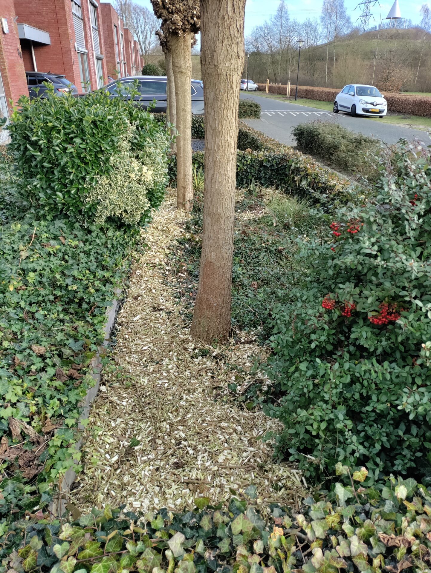 Blog Circulair tuinieren Van tak tot mulch en compost