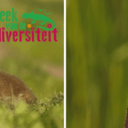 Week van de biodiversiteit banner