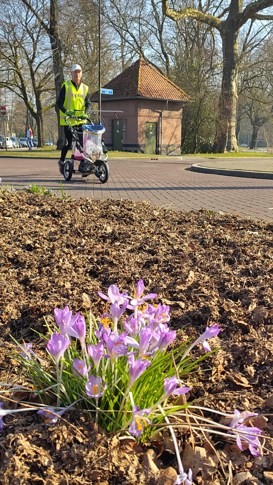 Plogrun Krokus route