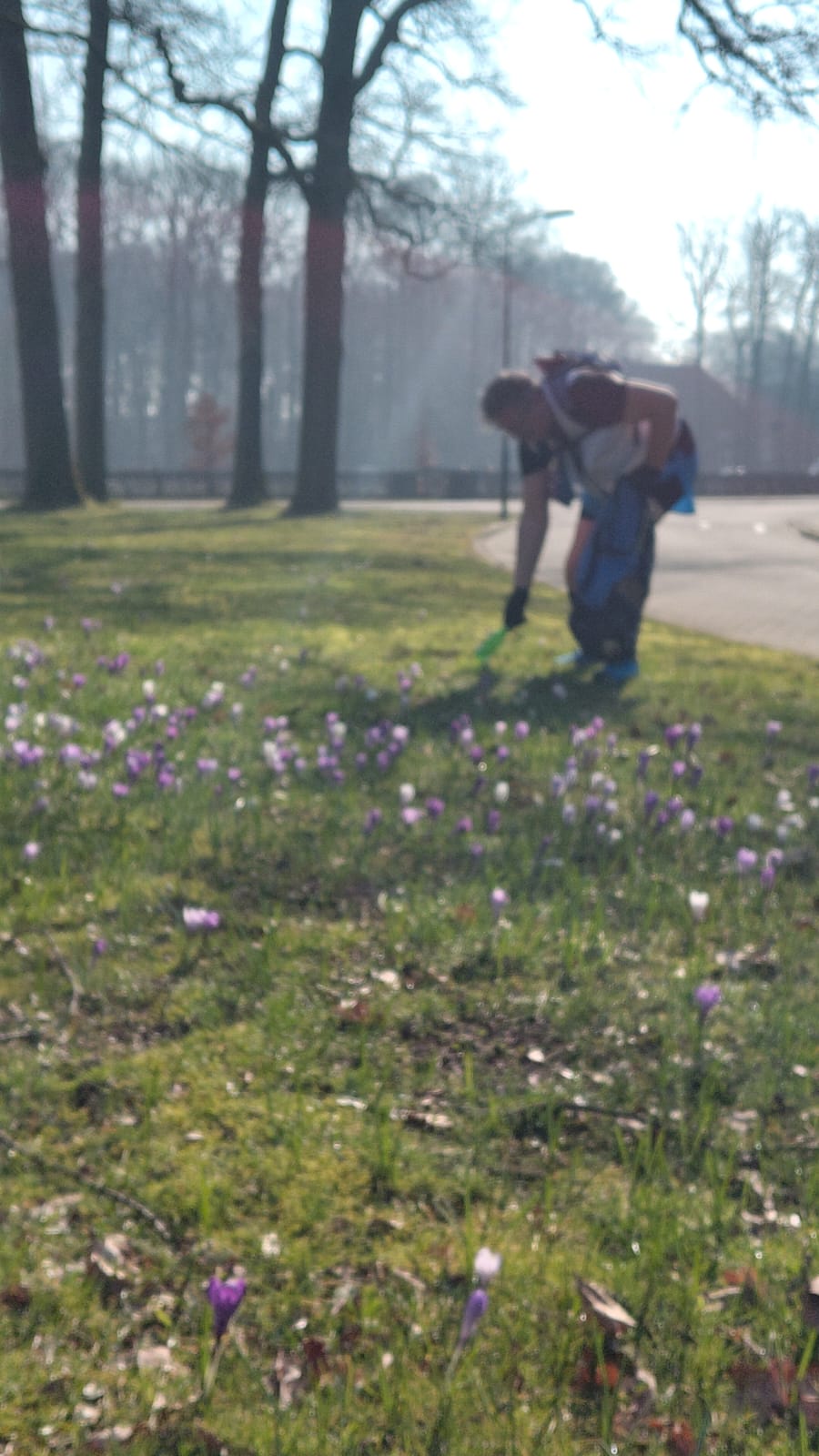 Plogrun Krokus route