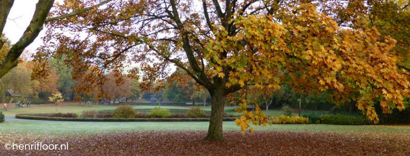 Excursie Sprengenpark IVN