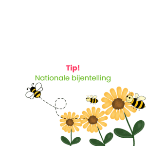 Doe mee aan de Nationale Bijentelling