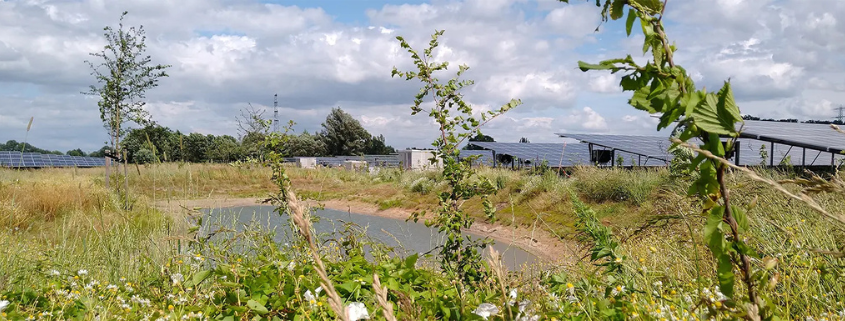 Excursie tussen poelen en panelen deA IVN