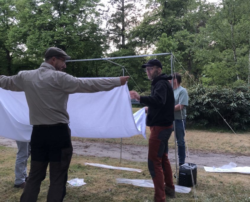 blog nachtvlindertelling