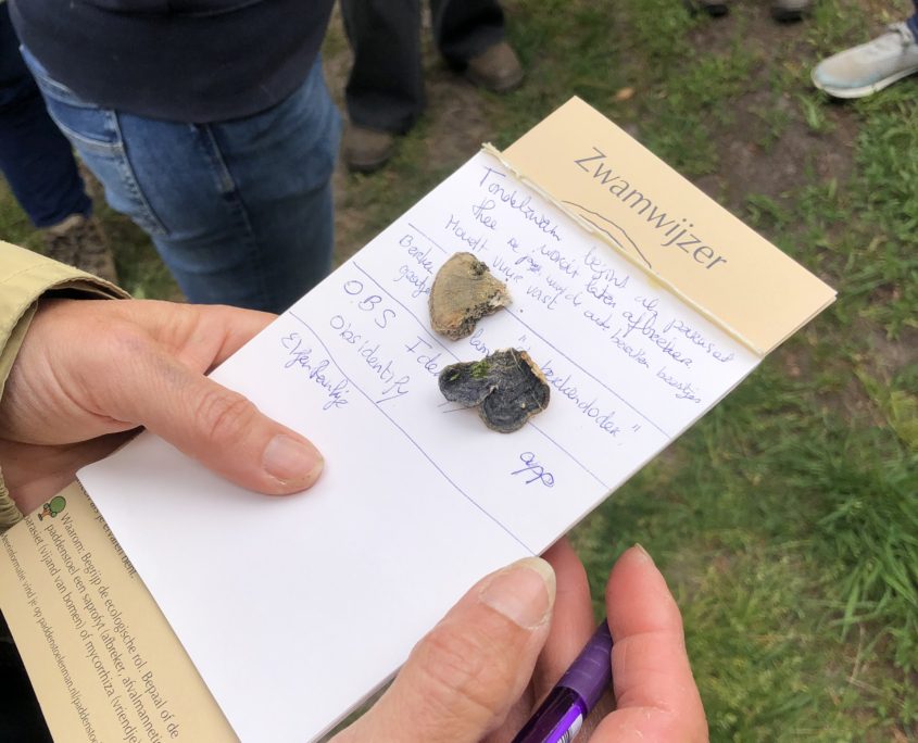 Paddenstoelenwandeling mei Zero Waste Week