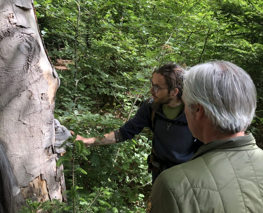 Paddenstoelenwandeling mei Zero Waste Week