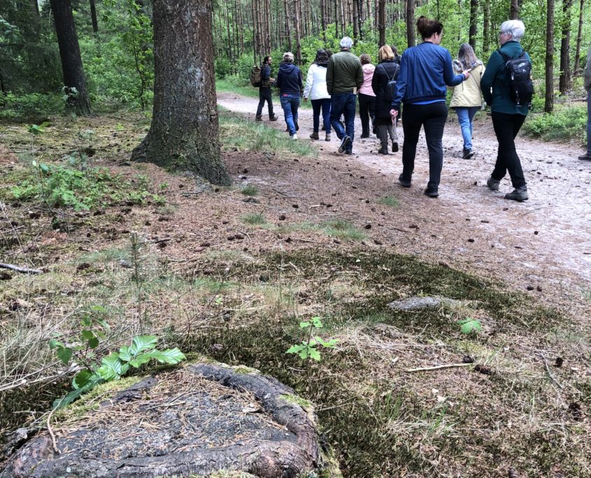 Paddenstoelenwandeling mei Zero Waste Week