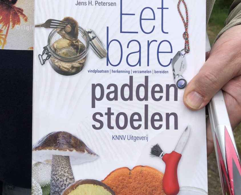 Paddenstoelenwandeling mei Zero Waste Week