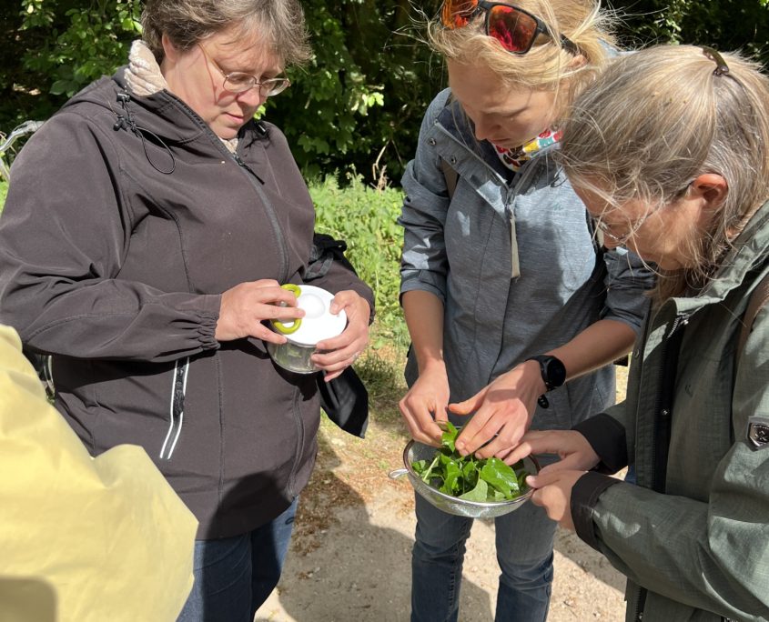 Wildplukwandeling mei 2025 Zero Waste Week