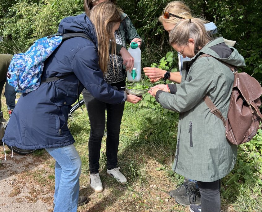 Wildplukwandeling mei 2025 Zero Waste Week