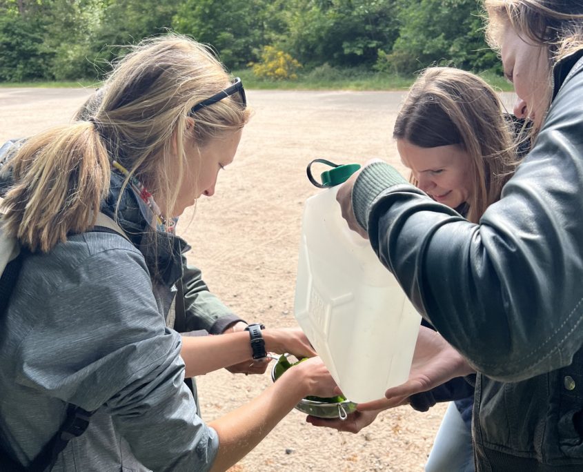 Wildplukwandeling mei 2025 Zero Waste Week