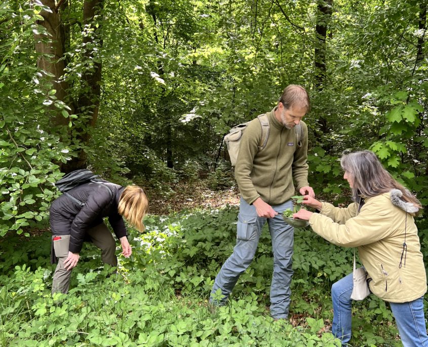 Wildplukwandeling mei 2025 Zero Waste Week