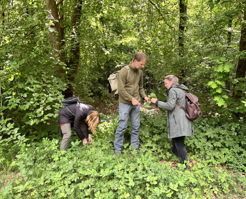 Wildplukwandeling mei 2025 Zero Waste Week