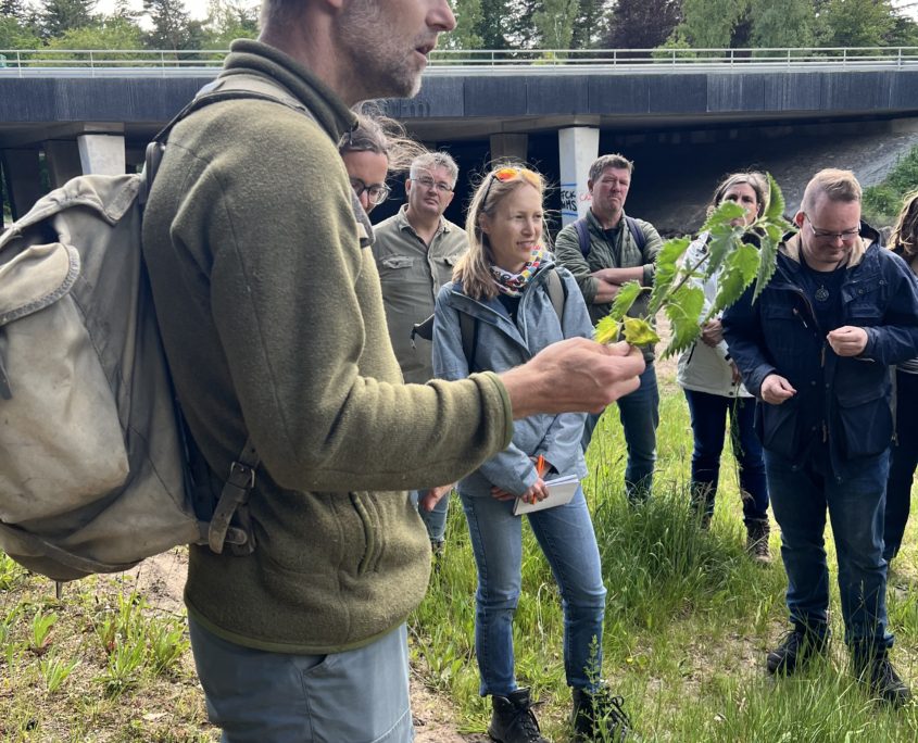 Wildplukwandeling mei 2025 Zero Waste Week