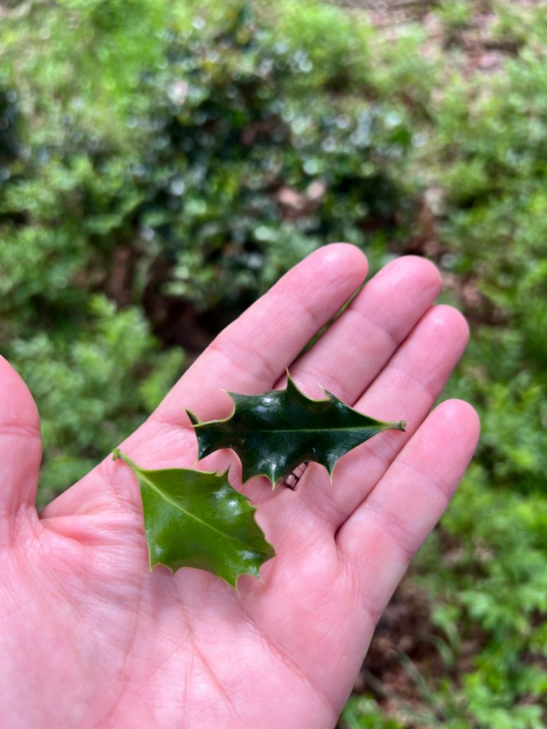 boscafe mei 2025 Zero Waste Week