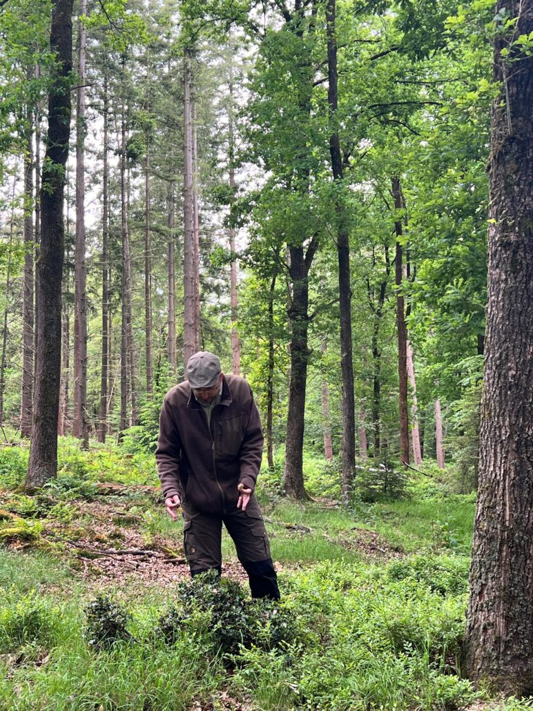 boscafe mei 2025 Zero Waste Week