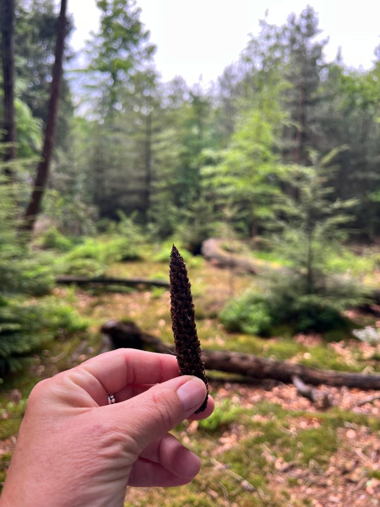 boscafe mei 2025 Zero Waste Week