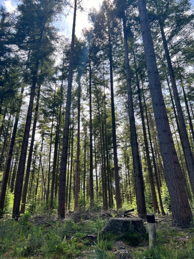 boscafe mei 2025 Zero Waste Week