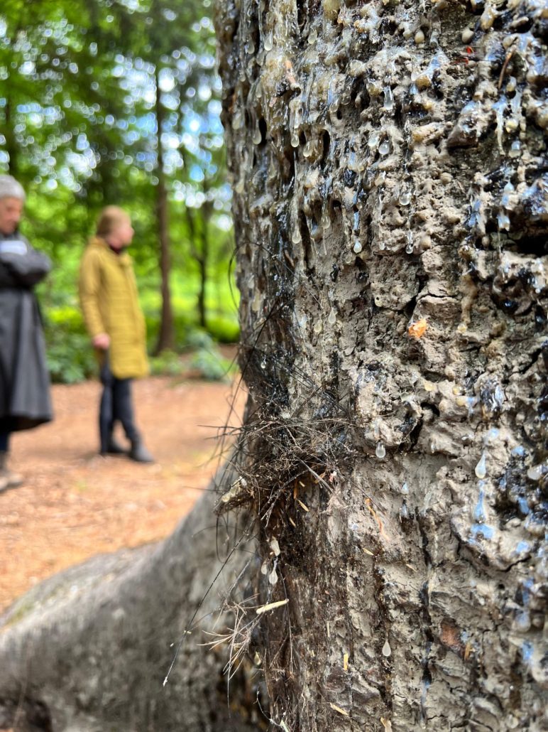 boscafe mei 2025 Zero Waste Week