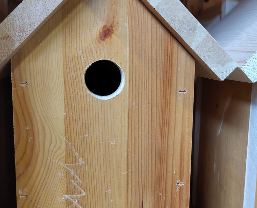 junior workshop vogelhuis oud wijnkistje