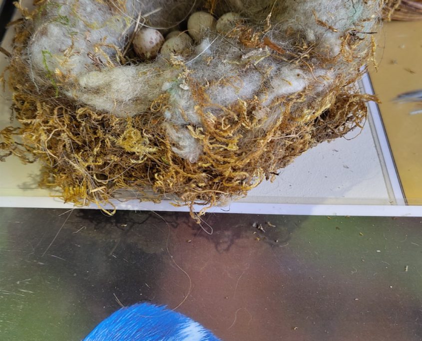 junior workshop vogelhuis oud wijnkistje