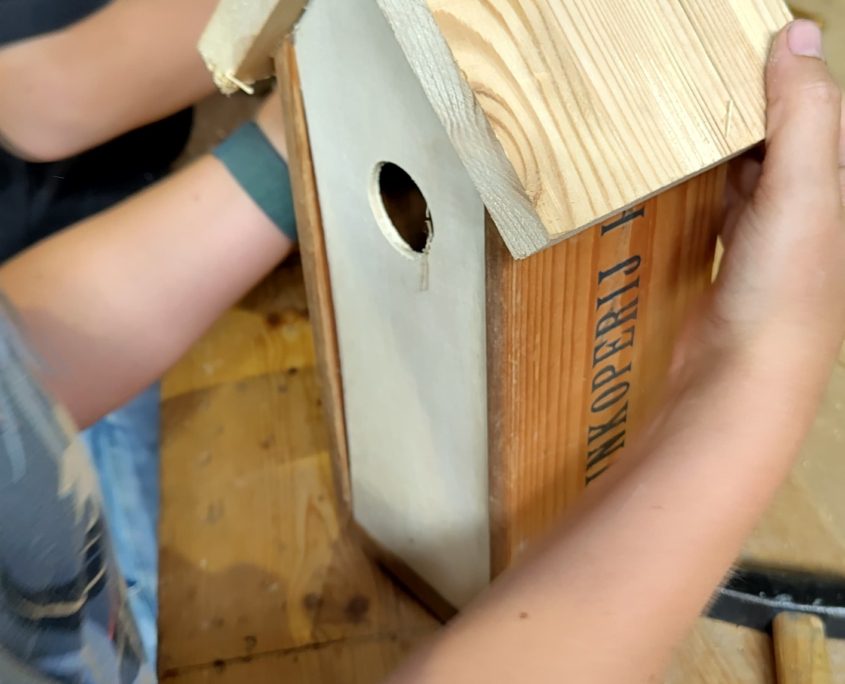 junior workshop vogelhuis oud wijnkistje