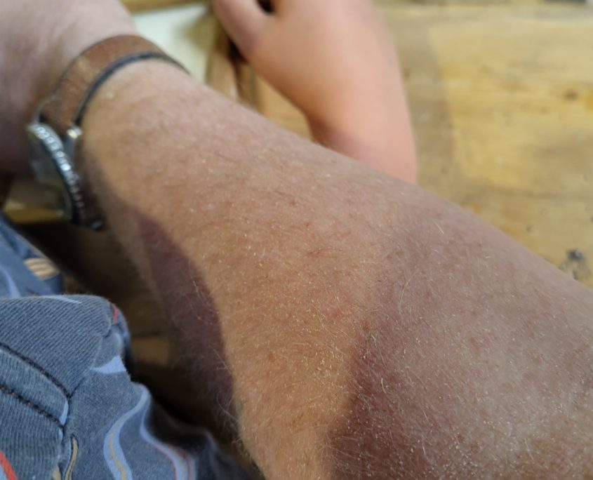 junior workshop vogelhuis oud wijnkistje