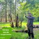 BLOG Het bos van de burgemeester