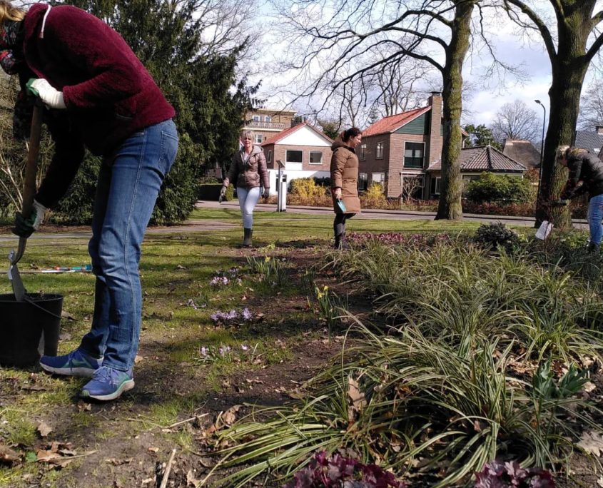 Maak je straat of buurt groener! Groeninitiatief