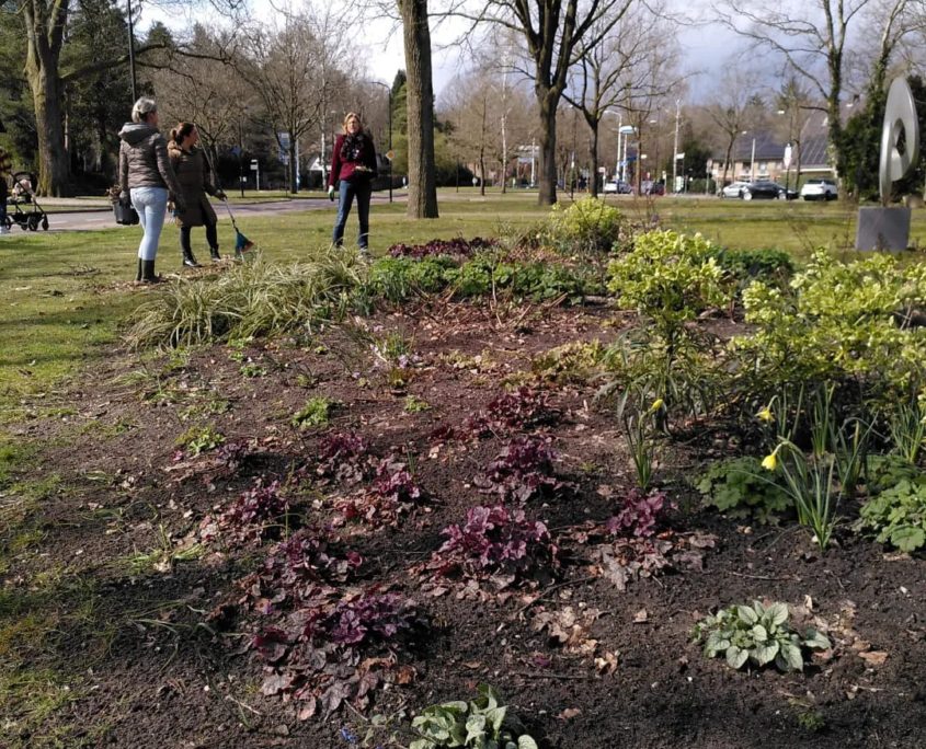 Maak je straat of buurt groener! Groeninitiatief