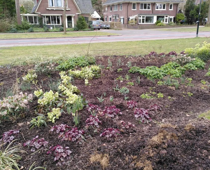 Maak je straat of buurt groener! Groeninitiatief
