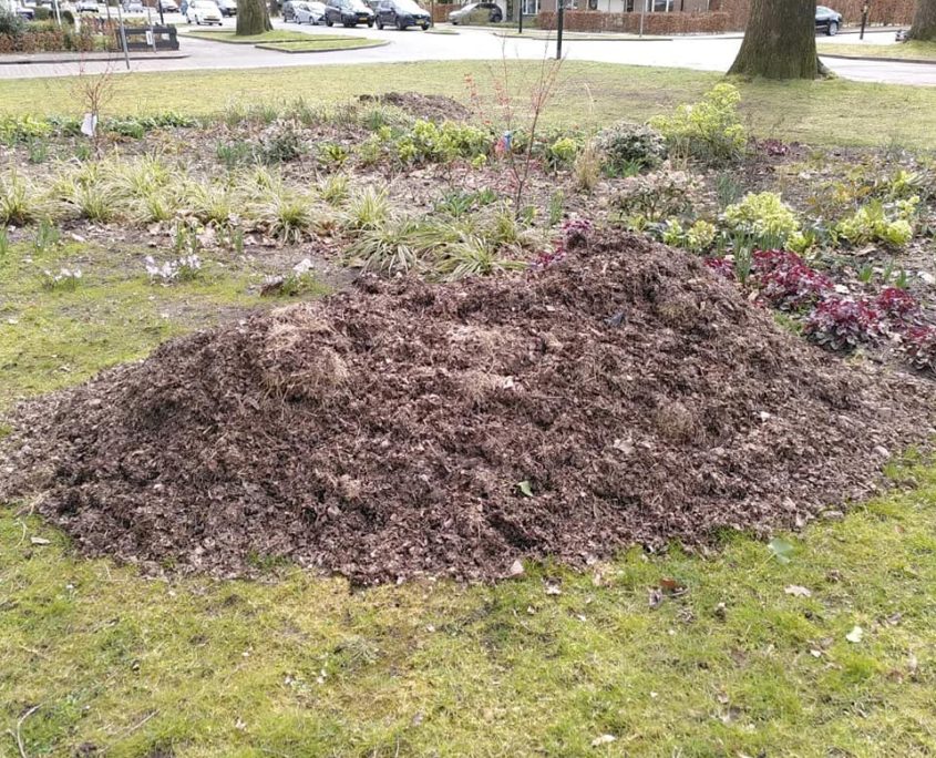 Maak je straat of buurt groener! Groeninitiatief