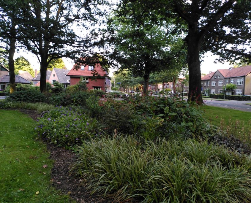 Maak je straat of buurt groener! Groeninitiatief