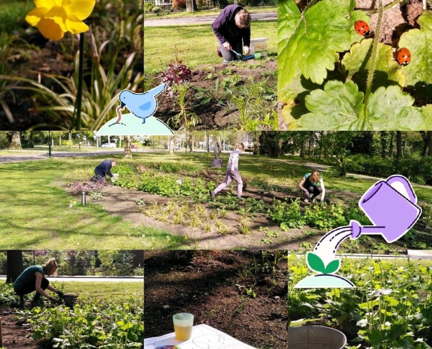 Maak je straat of buurt groener! Groeninitiatief