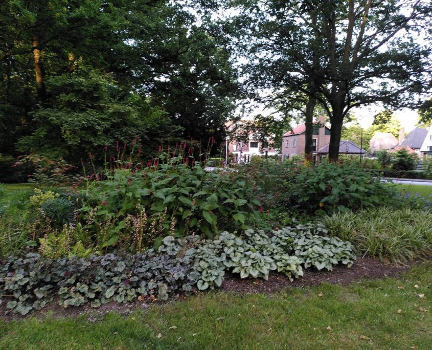 Maak je straat of buurt groener! Groeninitiatief