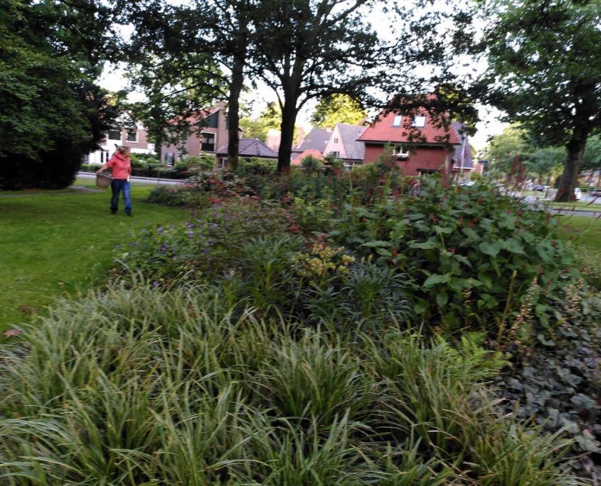 Maak je straat of buurt groener! Groeninitiatief