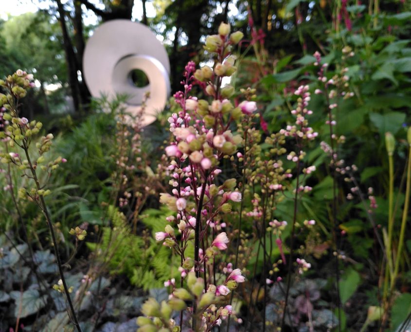 Maak je straat of buurt groener! Groeninitiatief