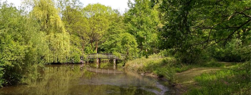 Excursie Kanaalpark IVN