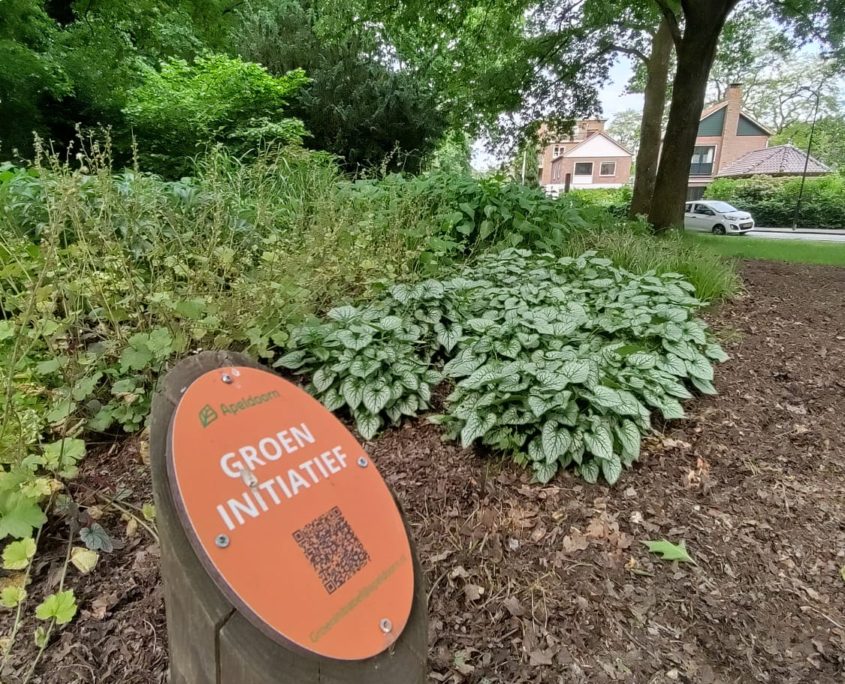 Maak je straat of buurt groener! Groeninitiatief